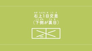 右上1目交差（下側が裏目） 【棒針編み／編み物】 [upl. by Lraed]