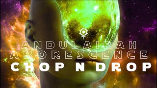 ANDULAIRAH Arborescence CHOP N DROP REMIX  Electronica Slowed amp Reverbed [upl. by Athalie501]