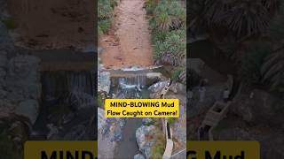 MINDBLOWING Mud Flow Caught on Camera shorts amazing river [upl. by Filia]