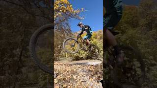 Fall Colors  Mountain Bike  Paradise mtblifestyle [upl. by Chard]