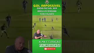 FELIPÃO FICOU PISTOLA NO GOL DO TÍTULO [upl. by Yrok]