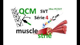 QCM  SVTSérie 4  2bac PC 2bac SVT Unité 1Chapitre2 Muscle strié [upl. by Jabin286]