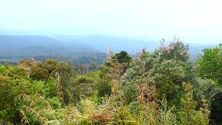 The view from Okarito Trig Point South Island New Zealand [upl. by Bruno]