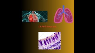 Trachea Bronchi and Bronchioles [upl. by Jelena765]