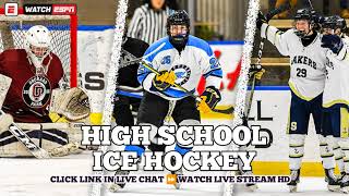 Willmar vs Alexandria  High School Girls Ice Hockey Live 2024 [upl. by Aceissej542]