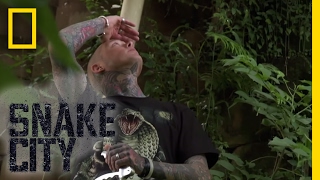 Wheres the Mamba  Episode 4  Deadliest Snake Encounters [upl. by Leitman]