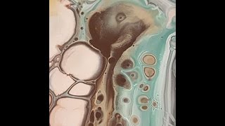 Fluid Swipe Painting  Meerkat  2017 Stuart Wimbles Free Your Mind Art 2017 [upl. by Alikee480]