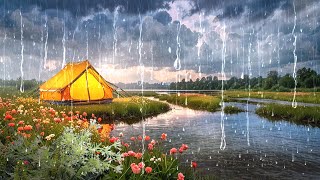 Rain sounds white noise camping in the woods relaxation meditation relaxation ASMR [upl. by Aneloj]