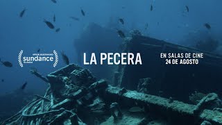 La Pecera Trailer Oficial [upl. by Ididn]