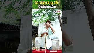 ఎనకట ఎక్కడబడితే అక్కడుండేవి ఈ చెట్లు చాలా ప్రొటీన్స్ ఉండే కాయలు దీనివి   ABN Agri shorts [upl. by Gough976]