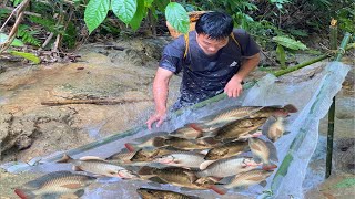 Single father makes a fishing trap  cooking with his child  Green forest life [upl. by Urina]