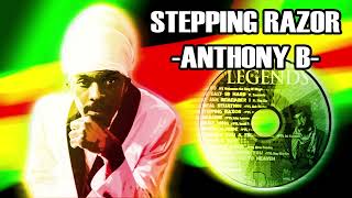 Reggae Mix 198 Tribute to Peter Tosh Anthony B UB40 Andrew Tosh Bushman Luciano [upl. by Micki]