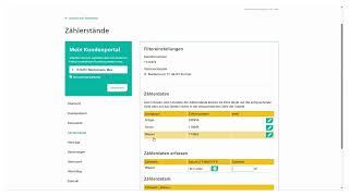 3 Zählerstand mitteilen  Erklärvideo zum WattExtra Kundenportal [upl. by Aniv]
