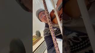 Van Halen Belt Riffrock Violin Riff Rock Fiddle [upl. by Custer]