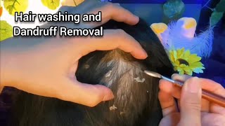 ASMR 1Hours of Relaxing Hair washing and Dandruff Removal Sleep Recovery  No Talking 🥱😴💤 [upl. by Reichert]