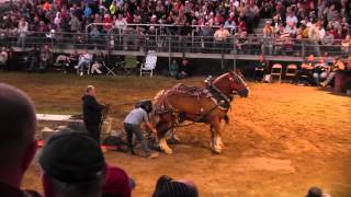 Draft Horse Pull 2013 Deerfield Fair NH Pulling Video 24 [upl. by Nichy40]