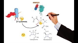 Pharmacology – ANTIBIOTICS – CELL WALL amp MEMBRANE INHIBITORS MADE EASY [upl. by Alinoel]