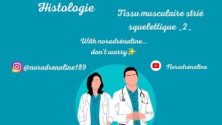 tissu musculaire strié squelettique partie 2 histologie 1ère année medecine et medecine dentaire [upl. by Jerrie]