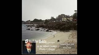 Make Photos Great Again Presents A Sir Albert Insley Photo Critique  quotMonterey Beach Walkquot [upl. by Yatnuahs]