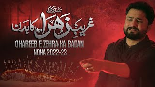 Ghareeb e Zehra Ka Badan  Syed Raza Abbas Zaidi  Nohay 2022  Muharram 2022 1444  New Noha 2022 [upl. by Mrots263]