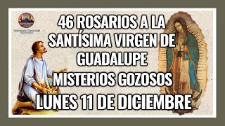 46 ROSARIOS A LA VIRGEN DE GUADALUPE MISTERIOS GOZOSOS  GUADALUPANO  LUNES 11 DE DICIEMBRE 2023 [upl. by Eslud585]