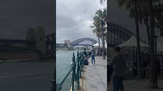 Circular Quay  Sydney Harbour Bridge  Australia 🇦🇺 shorts youtubeshorts harbourbridge [upl. by Aztilem507]