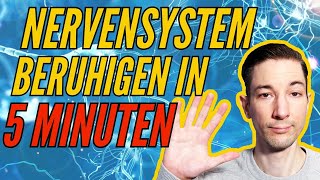 Nervensystem in 5 Minuten beruhigen mit dieser einfachen Atemübung [upl. by Ellevart]