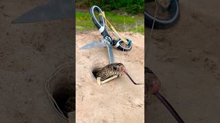 DIY Snake Trap shortvideo pestcontrol shorts [upl. by Ammej]