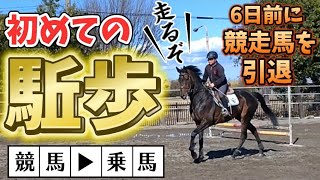 ついにこの時が来たッ…。調教中に騎手を振り落とした事が有り、乗るとヤバいと噂のエナキョウ号。6日前に引退したばかりの競走馬に乗って走ってみたらヤバすぎました。【ツルマルボーイ様のシモベ】 [upl. by Udenihc]