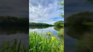 Lac de la Pouge this morning hautevienne bergeraustralien nature springmorning france [upl. by Attenej]