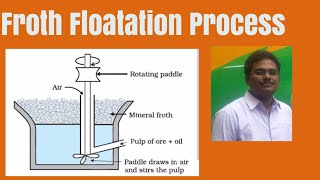 Froth Floatation Method [upl. by Anaejer]