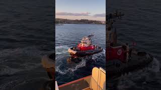 Tug Seaspan Raven maneuvering alongside the NCL Encore heading to Vancouver Canada 2024 [upl. by Enowtna514]