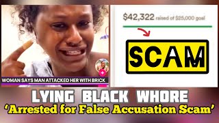 LYING BLACK WH0RE CHARGED for FALSELY ACCUSING MEN amp GOFUNDME SCAM 😂 BRICK LADY HELD ACCOUNTABLE [upl. by Sekyere]