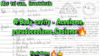 body cavity Aceolome pseudoceolome Ceolome 🔥🔥✍️invertebrateHindi Notes 🔥🔥📝📝✨✨✨✨✍️✍️✍️ [upl. by Mignonne]