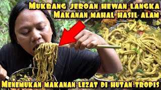 MAKAN JEROAN HEWAN LANGKA PENEMU PERTAMA DI HUTAN TROPIS [upl. by Ludewig]