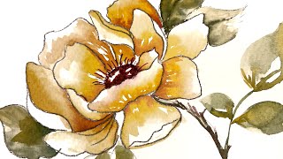 Watercolor Beginner Floral  I break it wayyy down from outline to beautiful flower StepbyStep [upl. by Procter614]