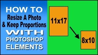 Use Photoshop Elements To Resize Proportionally [upl. by Enitsirk]