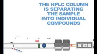 How HPLC Columns Work [upl. by Eissalc162]