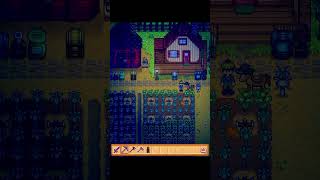 Le tocaba stardewvalley [upl. by Rebe]