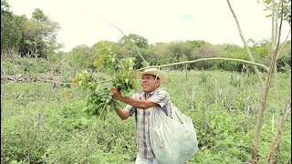 Zakahuaxí  El Coyote de Guerrero 2023  Video Oficial [upl. by Nawak]