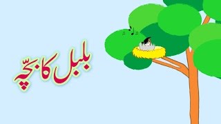 Bulbul ka Bacha Urdu Poem  بلبل کا بچّہ اردو نظم [upl. by Assereht291]