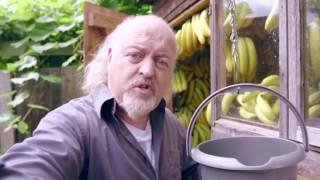 Stoptober 2015 Bill Bailey ‘Bananas’ [upl. by Etteneg907]