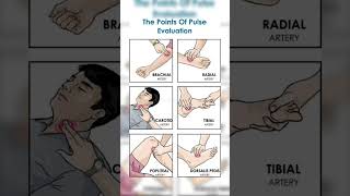 Sits of pulse palpate hospital medicalviralvideo ytshorts trending youtubeshorts youtube [upl. by Eiralih]