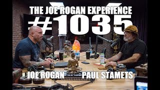 Joe Rogan Experience 1035  Paul Stamets [upl. by Weinhardt185]