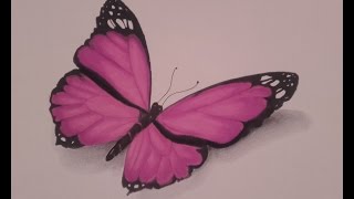 Dessiner un Papillon  promarker et pastel sec  speed drawing [upl. by Whiffen132]