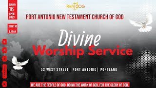 Port Antonio New Testament Church of God  Divine Worship Service on April 16 2023 at 935AM [upl. by Nolyak573]