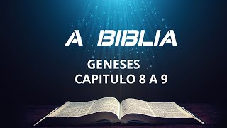 BIBLIA FALADA EM PORTUGUES GENESES GENESES CAPITULO 9 [upl. by Reinnej13]