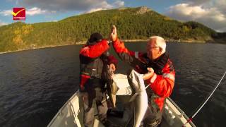 Angeln im Saltstraumen in Nordnorwegen [upl. by Noakes]