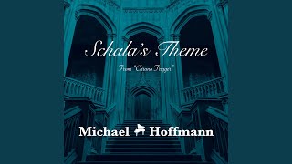 Schalas Theme From quotChrono Triggerquot [upl. by Ahsienahs]