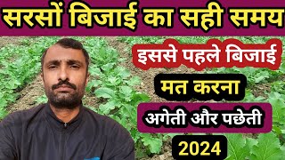 सरसों की बिजाई का सही समय  Sarso Ki Bijai Ka Time  Sarso Ki Bijai Ka Samay  Sarso Ki Kheti 2024 [upl. by Ahsinit]